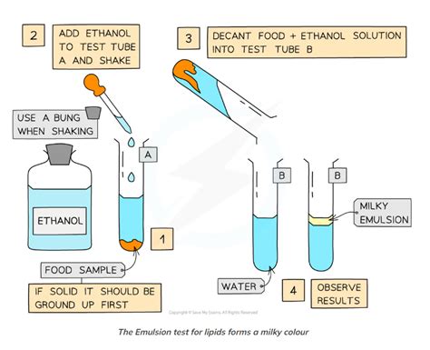 emulsion test for lipids|2.2.9 Biochemical Tests: Lipids .